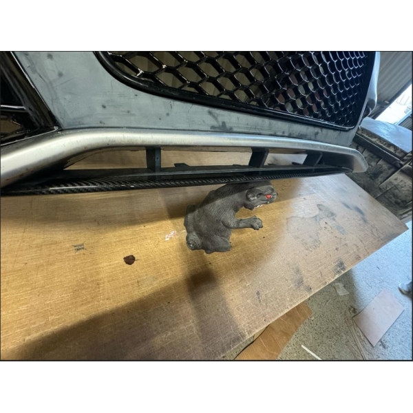 Audi RS5 Carbon Lower Bumper insert